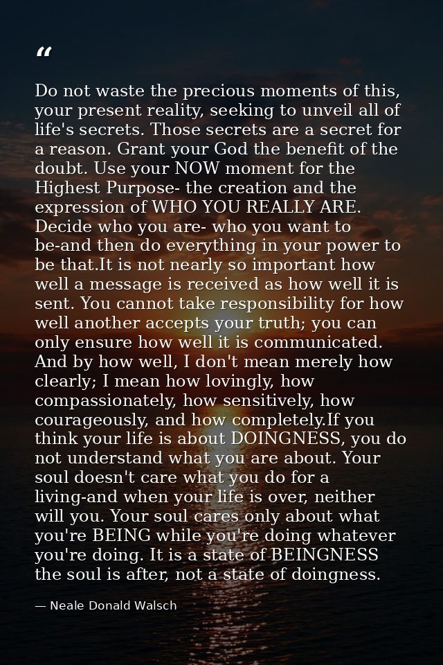 Do not waste the precious moments of this, your present reality, seeking to unveil all of life's secrets. Those secrets  — Neale Donald Walsch