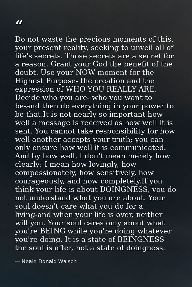 Do not waste the precious moments of this, your present reality, seeking to unveil all of life's secrets. Those secrets  — Neale Donald Walsch