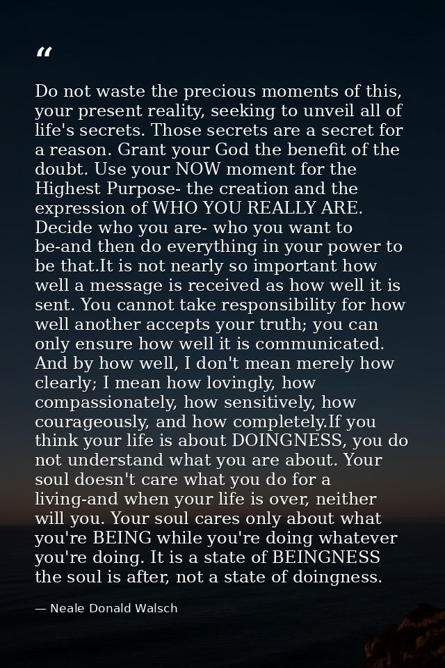 Do not waste the precious moments of this, your present reality, seeking to unveil all of life's secrets. Those secrets  — Neale Donald Walsch