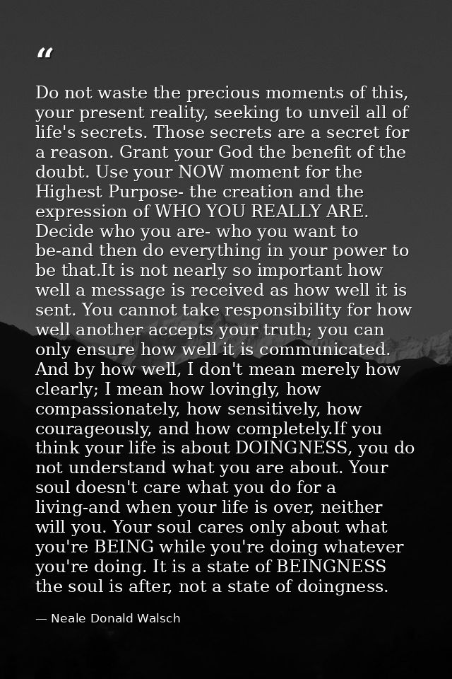 Do not waste the precious moments of this, your present reality, seeking to unveil all of life's secrets. Those secrets  — Neale Donald Walsch