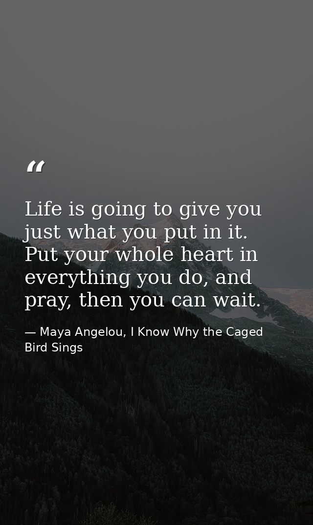 Life is going to give you just what you put in it. Put your whole heart in everything you do, and pray, then you can wai — Maya Angelou, I Know Why the Caged Bird Sings
