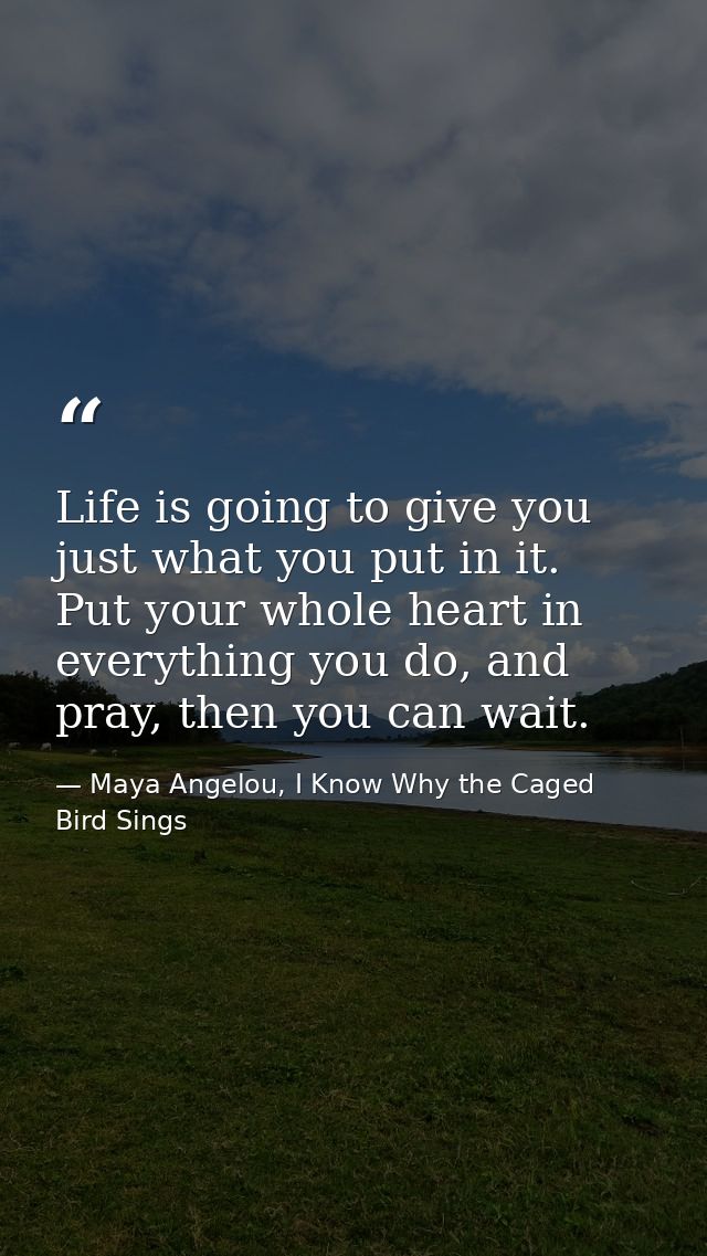 Life is going to give you just what you put in it. Put your whole heart in everything you do, and pray, then you can wai — Maya Angelou, I Know Why the Caged Bird Sings