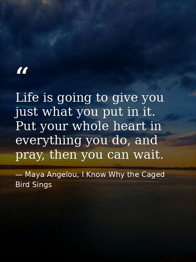 Life is going to give you just what you put in it. Put your whole heart in everything you do, and pray, then you can wai — Maya Angelou, I Know Why the Caged Bird Sings