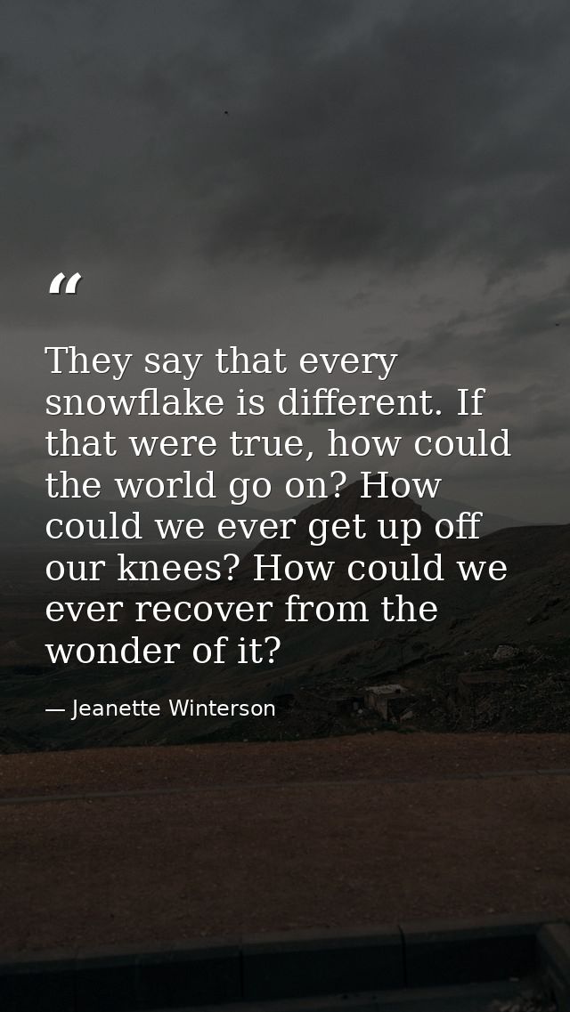 They say that every snowflake is different. If that were true, how could the world go on? How could we ever get up off o — Jeanette Winterson