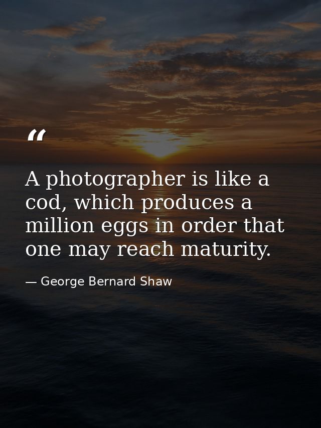 A photographer is like a cod, which produces a million eggs in order that one may reach maturity. — George Bernard Shaw