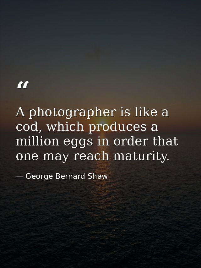 A photographer is like a cod, which produces a million eggs in order that one may reach maturity. — George Bernard Shaw