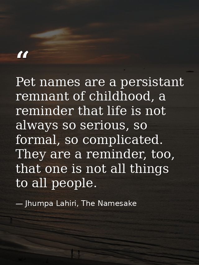 Pet names are a persistant remnant of childhood, a reminder that life is not always so serious, so formal, so complicate — Jhumpa Lahiri, The Namesake