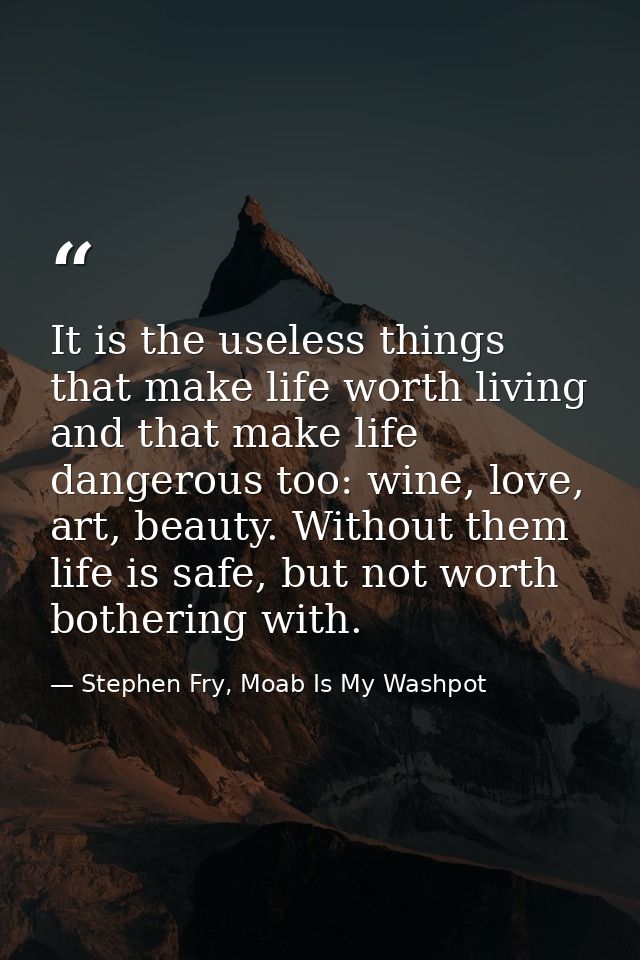 It is the useless things that make life worth living and that make life dangerous too: wine, love, art, beauty. Without  — Stephen Fry, Moab Is My Washpot
