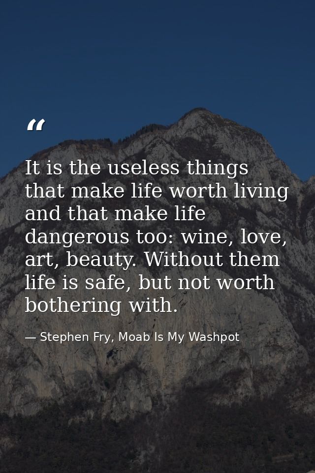 It is the useless things that make life worth living and that make life dangerous too: wine, love, art, beauty. Without  — Stephen Fry, Moab Is My Washpot