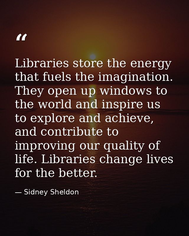 Libraries store the energy that fuels the imagination. They open up windows to the world and inspire us to explore and a — Sidney Sheldon