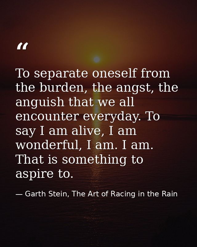 To separate oneself from the burden, the angst, the anguish that we all encounter everyday. To say I am alive, I am wond — Garth Stein, The Art of Racing in the Rain
