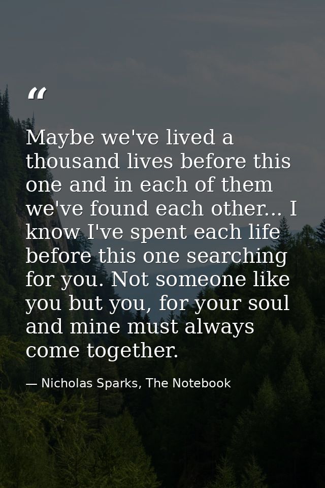 Maybe we've lived a thousand lives before this one and in each of them we've found each other... I know I've spent each  — Nicholas Sparks, The Notebook