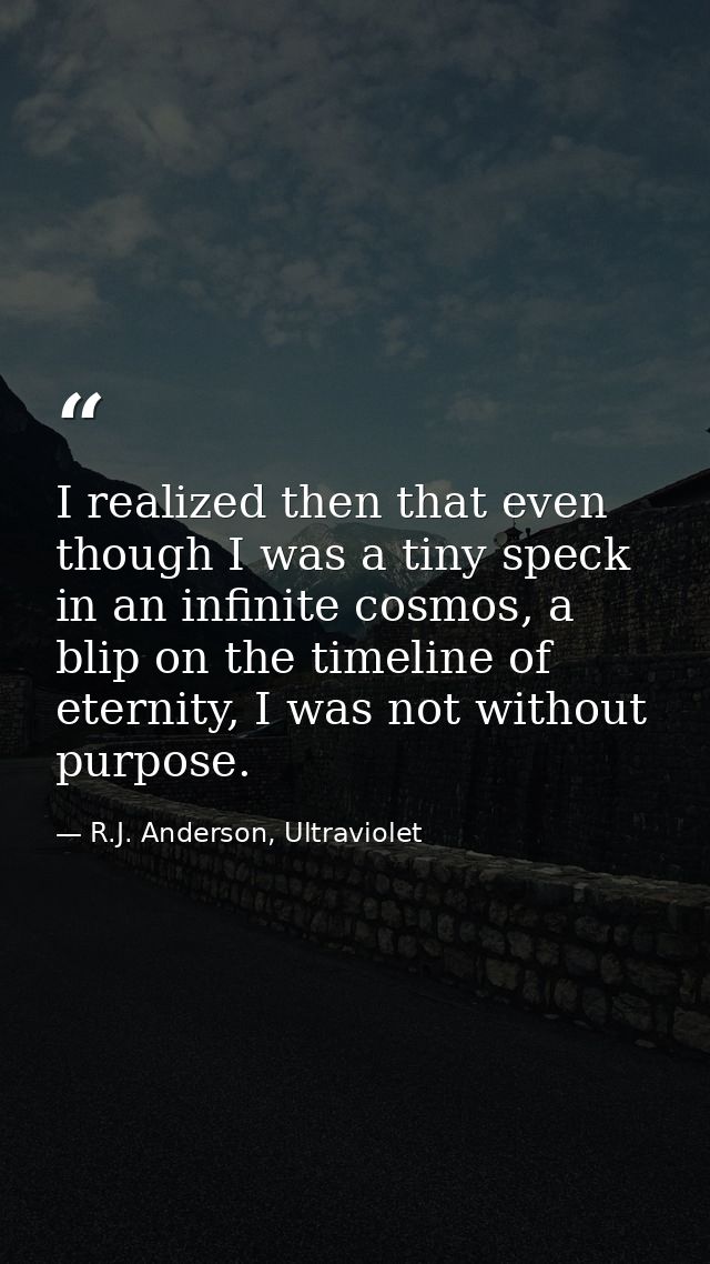 I realized then that even though I was a tiny speck in an infinite cosmos, a blip on the timeline of eternity, I was not — R.J. Anderson, Ultraviolet