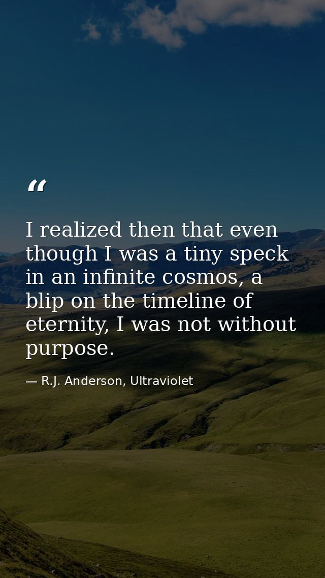 I realized then that even though I was a tiny speck in an infinite cosmos, a blip on the timeline of eternity, I was not — R.J. Anderson, Ultraviolet