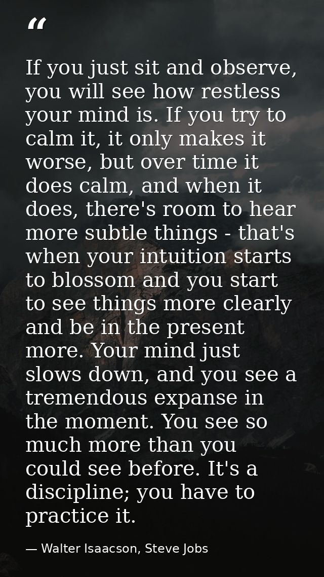 If you just sit and observe, you will see how restless your mind is. If you try to calm it, it only makes it worse, but  — Walter Isaacson, Steve Jobs
