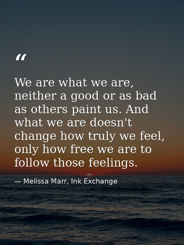 We are what we are, neither a good or as bad as others paint us. And what we are doesn't change how truly we feel, only  — Melissa Marr, Ink Exchange