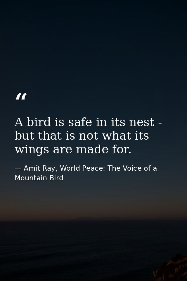 A bird is safe in its nest - but that is not what its wings are made for. — Amit Ray, World Peace: The Voice of a Mountain Bird