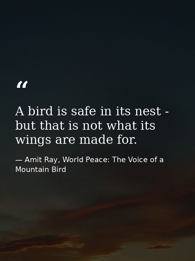 A bird is safe in its nest - but that is not what its wings are made for. — Amit Ray, World Peace: The Voice of a Mountain Bird