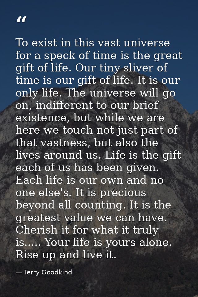 To exist in this vast universe for a speck of time is the great gift of life. Our tiny sliver of time is our gift of lif — Terry Goodkind