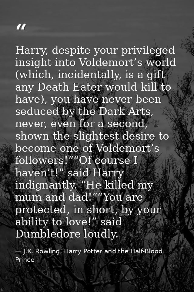Harry, despite your privileged insight into Voldemort’s world (which, incidentally, is a gift any Death Eater would kill — J.K. Rowling, Harry Potter and the Half-Blood Prince