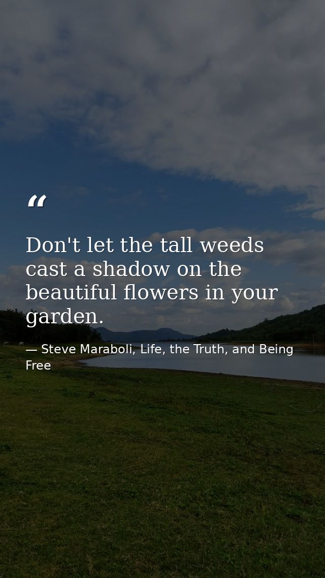 Don't let the tall weeds cast a shadow on the beautiful flowers in your garden. — Steve Maraboli, Life, the Truth, and Being Free