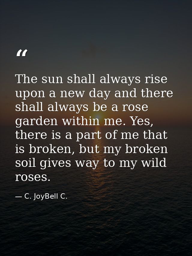 The sun shall always rise upon a new day and there shall always be a rose garden within me. Yes, there is a part of me t — C. JoyBell C.