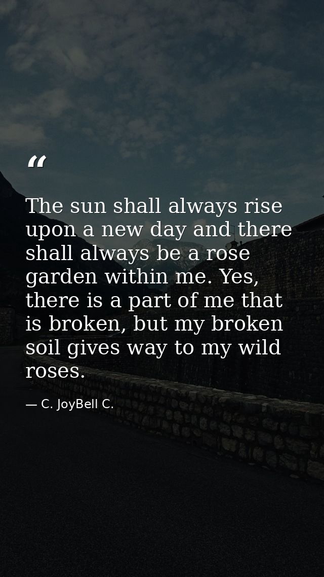 The sun shall always rise upon a new day and there shall always be a rose garden within me. Yes, there is a part of me t — C. JoyBell C.