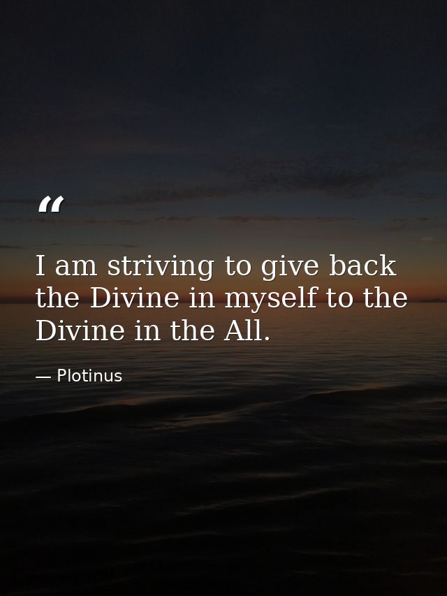 I am striving to give back the Divine in myself to the Divine in the All. — Plotinus