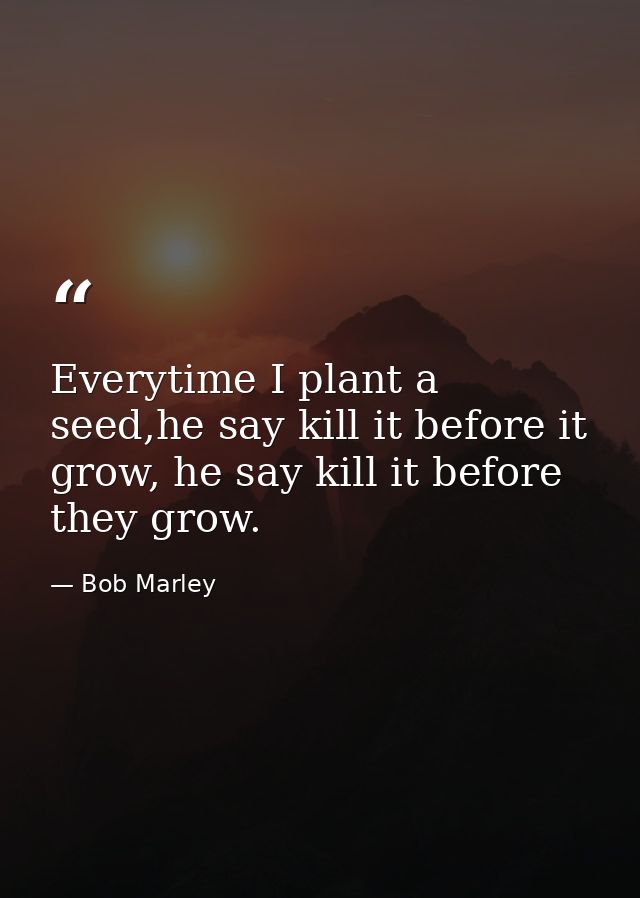 Everytime I plant a seed,he say kill it before it grow, he say kill it before they grow. — Bob Marley
