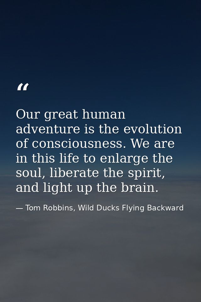 Our great human adventure is the evolution of consciousness. We are in this life to enlarge the soul, liberate the spiri — Tom Robbins, Wild Ducks Flying Backward