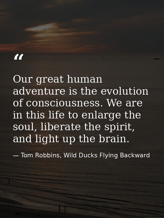 Our great human adventure is the evolution of consciousness. We are in this life to enlarge the soul, liberate the spiri — Tom Robbins, Wild Ducks Flying Backward