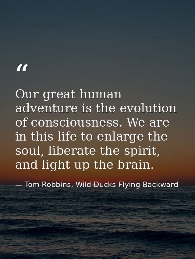 Our great human adventure is the evolution of consciousness. We are in this life to enlarge the soul, liberate the spiri — Tom Robbins, Wild Ducks Flying Backward