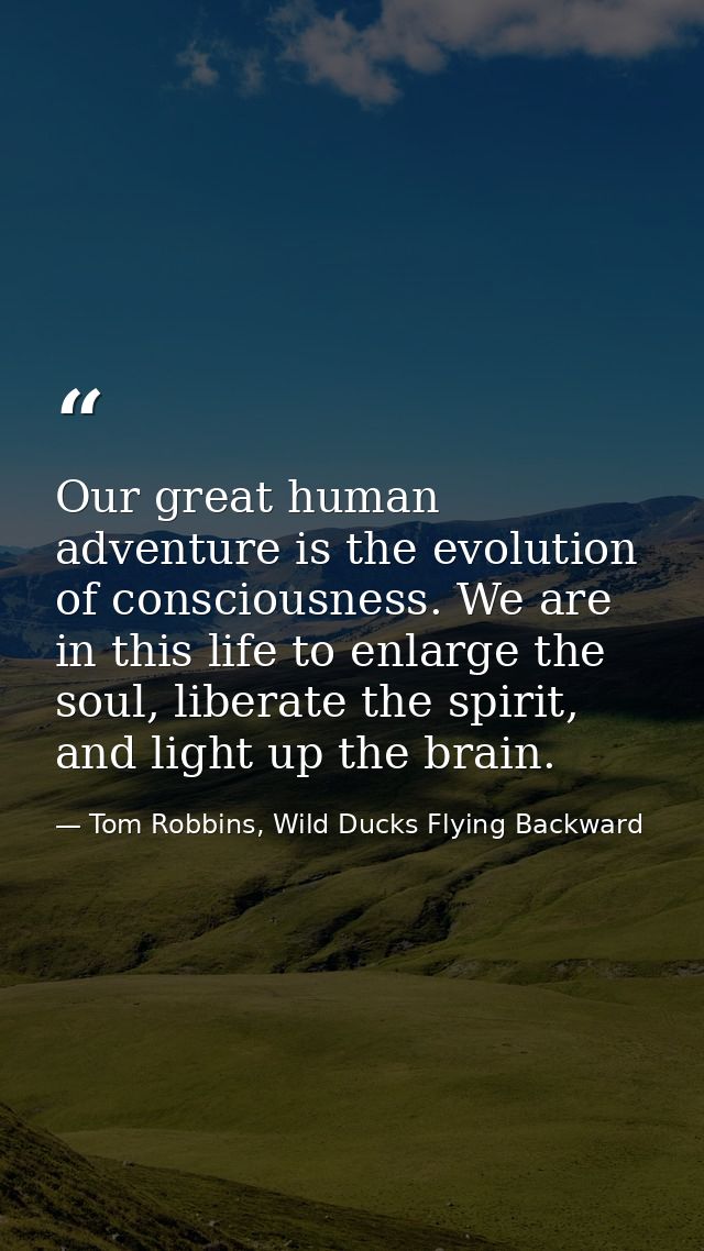 Our great human adventure is the evolution of consciousness. We are in this life to enlarge the soul, liberate the spiri — Tom Robbins, Wild Ducks Flying Backward
