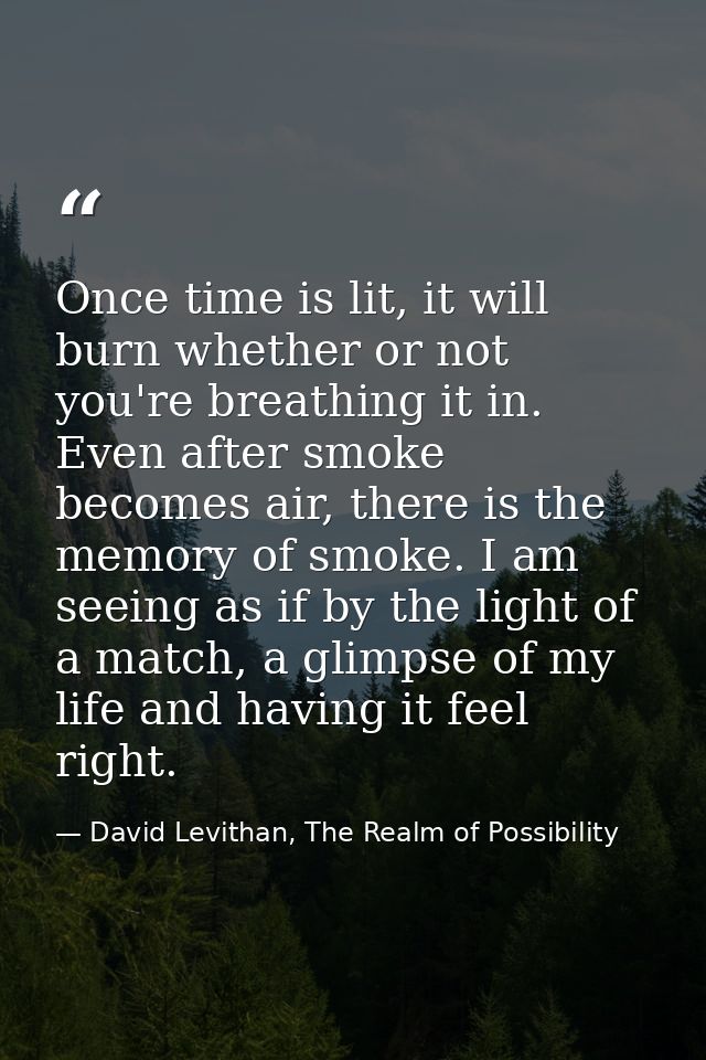 Once time is lit, it will burn whether or not you're breathing it in. Even after smoke becomes air, there is the memory  — David Levithan, The Realm of Possibility