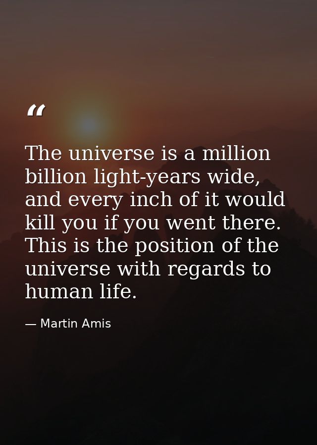 The universe is a million billion light-years wide, and every inch of it would kill you if you went there. This is the p — Martin Amis