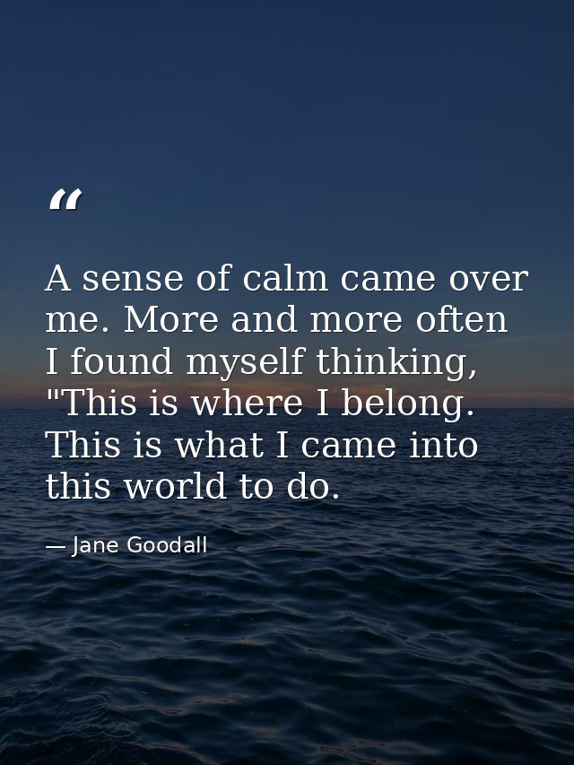 A sense of calm came over me. More and more often I found myself thinking, "This is where I belong. This is what I came  — Jane Goodall