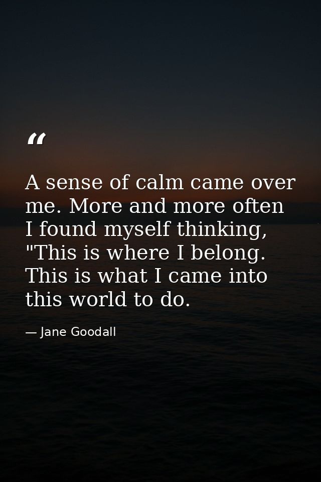 A sense of calm came over me. More and more often I found myself thinking, "This is where I belong. This is what I came  — Jane Goodall