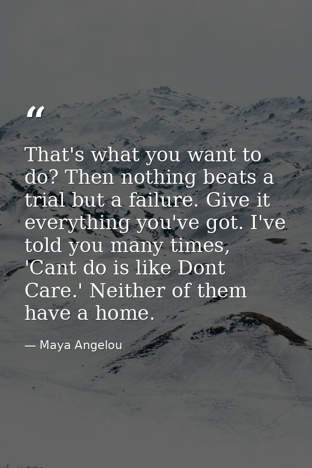 That's what you want to do? Then nothing beats a trial but a failure. Give it everything you've got. I've told you many  — Maya Angelou