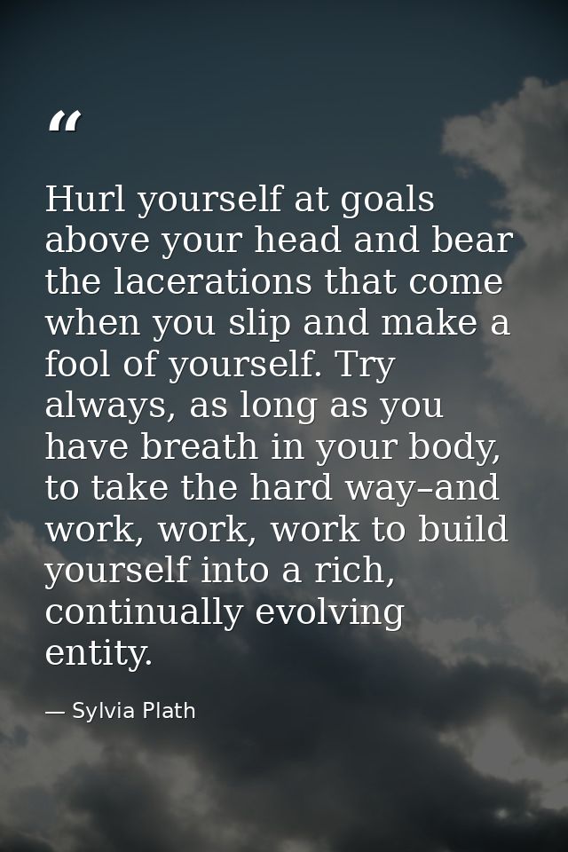 Hurl yourself at goals above your head and bear the lacerations that come when you slip and make a fool of yourself. Try — Sylvia Plath