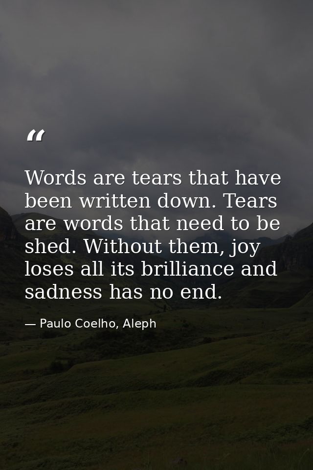 Words are tears that have been written down. Tears are words that need to be shed. Without them, joy loses all its brill — Paulo Coelho, Aleph