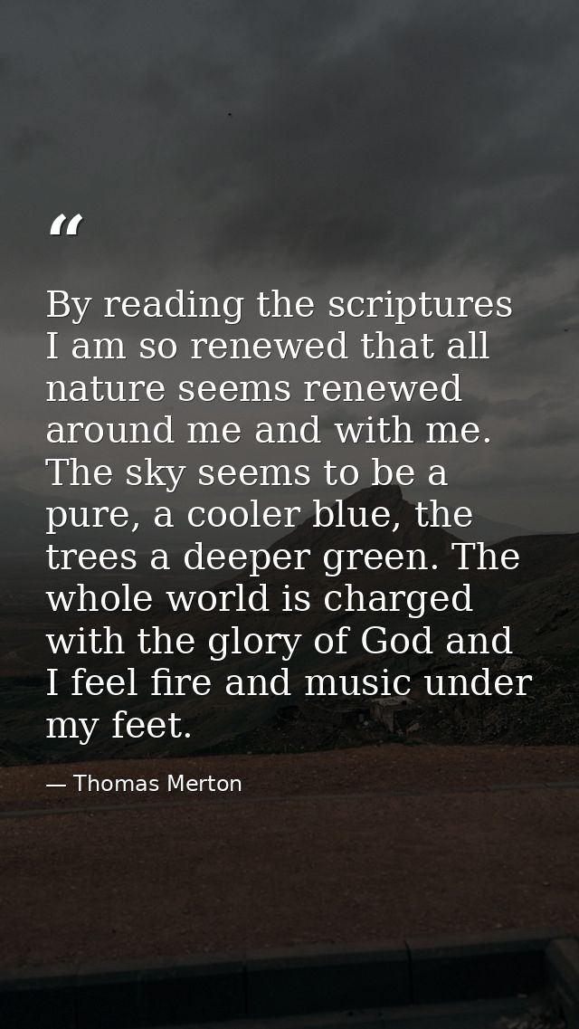 By reading the scriptures I am so renewed that all nature seems renewed around me and with me. The sky seems to be a pur — Thomas Merton