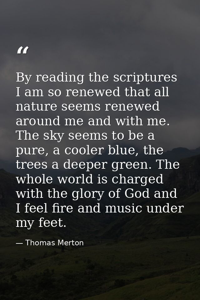 By reading the scriptures I am so renewed that all nature seems renewed around me and with me. The sky seems to be a pur — Thomas Merton