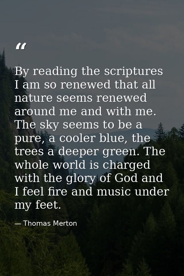 By reading the scriptures I am so renewed that all nature seems renewed around me and with me. The sky seems to be a pur — Thomas Merton