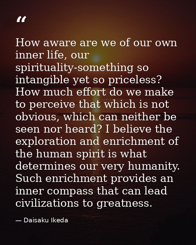 How aware are we of our own inner life, our spirituality-something so intangible yet so priceless? How much effort do we — Daisaku Ikeda