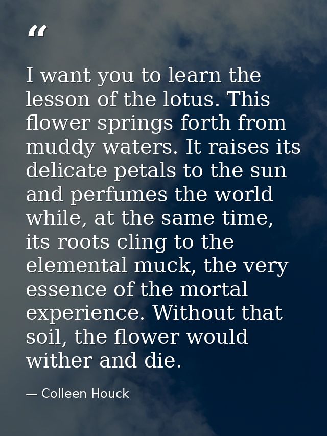 I want you to learn the lesson of the lotus. This flower springs forth from muddy waters. It raises its delicate petals  — Colleen Houck