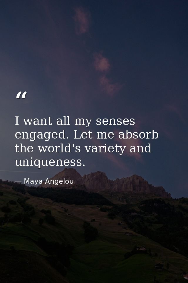 I want all my senses engaged. Let me absorb the world's variety and uniqueness. — Maya Angelou