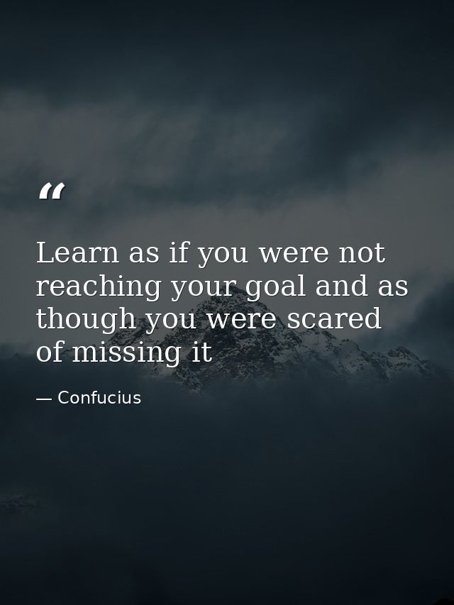 Learn as if you were not reaching your goal and as though you were scared of missing it — Confucius