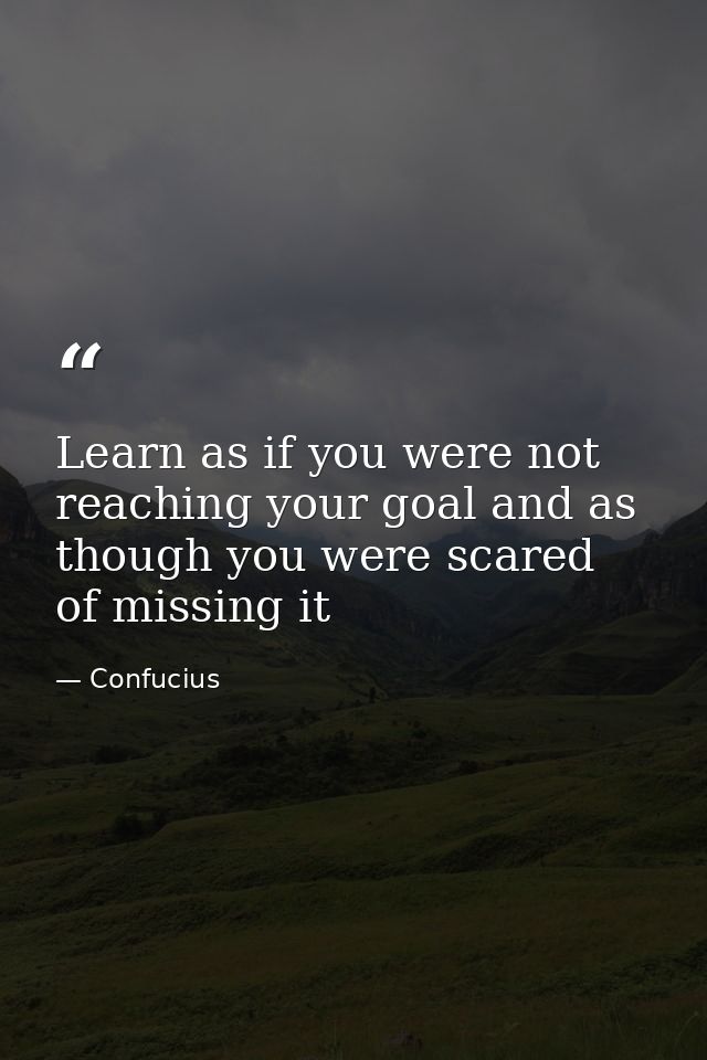 Learn as if you were not reaching your goal and as though you were scared of missing it — Confucius