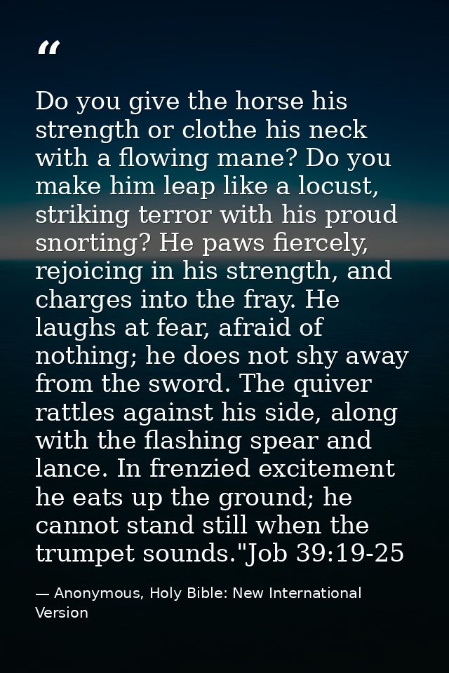 Do you give the horse his strength or clothe his neck with a flowing mane? Do you make him leap like a locust, striking  — Anonymous, Holy Bible: New International Version