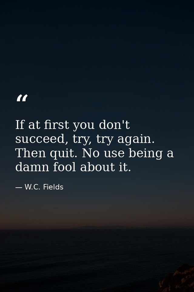 If at first you don't succeed, try, try again. Then quit. No use being a damn fool about it. — W.C. Fields